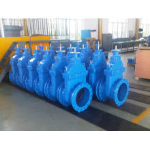 Qingdao Vortex F4 Gate Valve